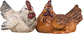 Hennengruppe