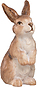 Hase stehend
