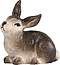 Hase liegend
