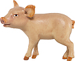 Ferkel