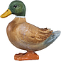 Ente