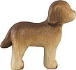 Hund