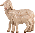 Schaf stehend mit Lamm