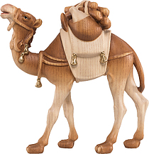 Kamel mit Gepäck