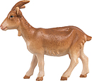 Ziege