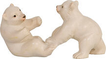 Eisbär Jungen