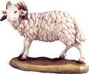 Widder