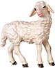 Lamm stehend